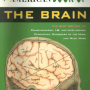 brain_book_front.png