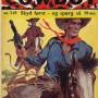 cowboy_249.jpg