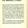 morke_lysaar_back.png