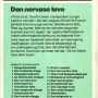 3detektiver_05_back.png